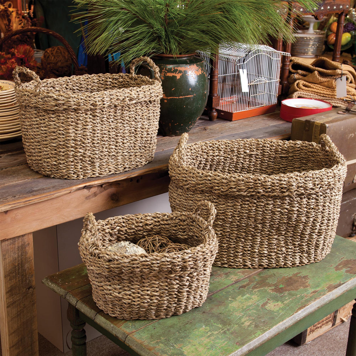 Napa Natural SEAGRASS OVAL BASKETS WITH HANDLES, SET OF 3