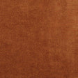 Sanderson Boho Velvets Rowanberry Fabric