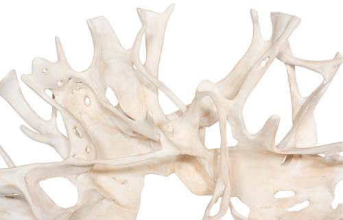 Phillips Collection Cast Root Wall Decor Faux Bleached Accent