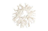 Phillips Collection Cast Root Wall Decor Faux Bleached Accent