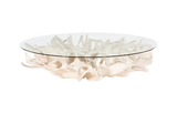 Phillips Collection Cast Root Faux Bleached Finish With 82" Glass Coffee Table
