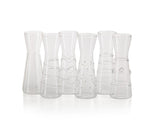 Zodax 6-Piece Zalli Assorted Glass Carafe Set