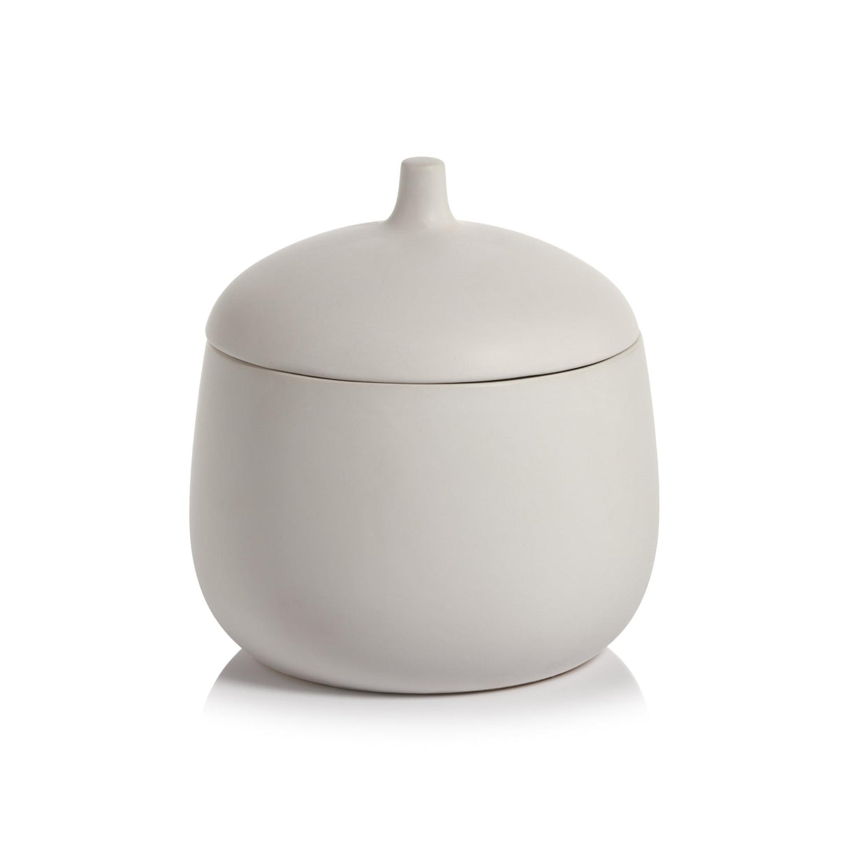 Zodax White Cato 7.75-Inch Tall Ceramic Canister