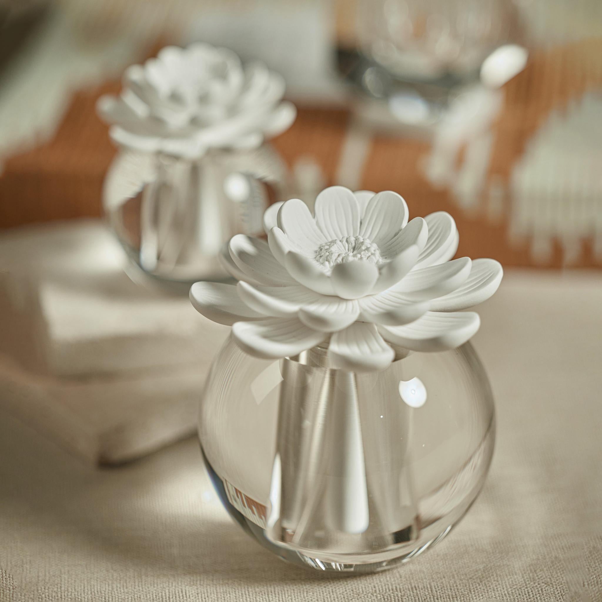 Zodax Valentina 100 Ml Crystal Ball Porcelain Diffuser, Grapefruit
