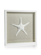 Zodax Aran White Framed Starfish Wall Dcor