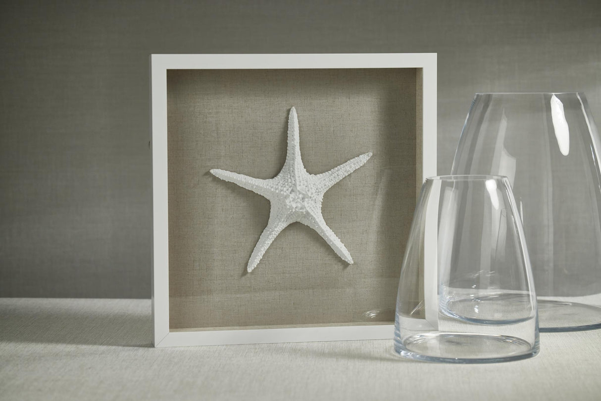 Zodax Aran White Framed Starfish Wall Dcor