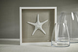Zodax Aran White Framed Starfish Wall Dcor
