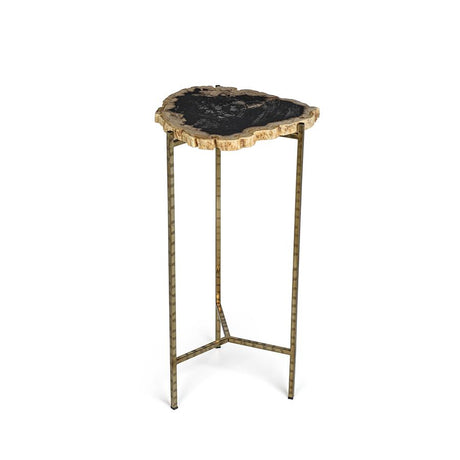 Zodax M Brasilia Petrified Wood Side Table