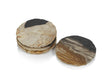 Zodax Plover 4" Petrified Wood Coasters, Set of 4