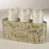 Zodax Neroli Absolute Grand Casablanca Scented Candle Trio