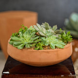 Zodax Verona Round Concrete Planter