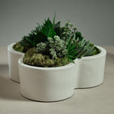 Zodax Lucine Flower Shape Planter / Bowl