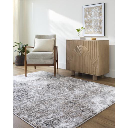 Surya Andorra Plus ARP-2318 2' x 2'11" Rug