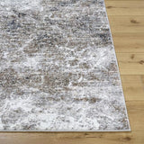 Surya Andorra Plus ARP-2318 2' x 2'11" Rug