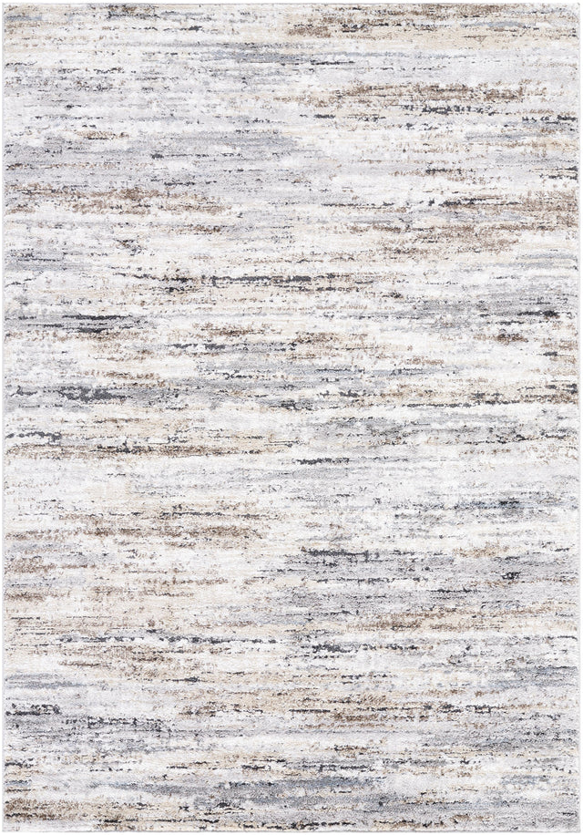 Surya Andorra Plus ARP-2319 5'3" x 7'3" Rug