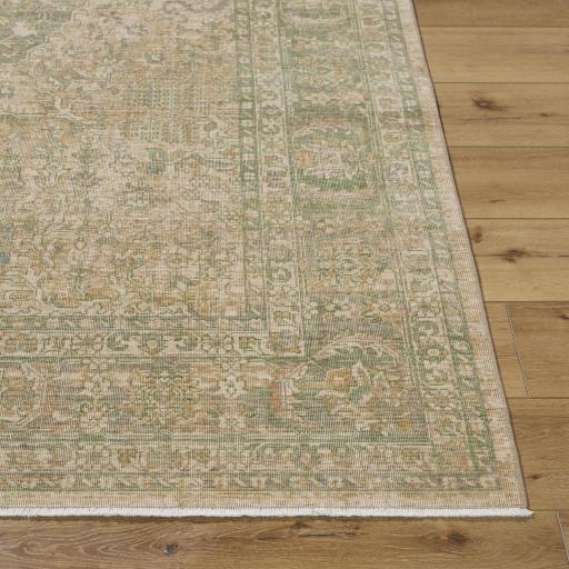 Surya Once Upon a Time OAT-2313 9'10" x 12'6" Rug
