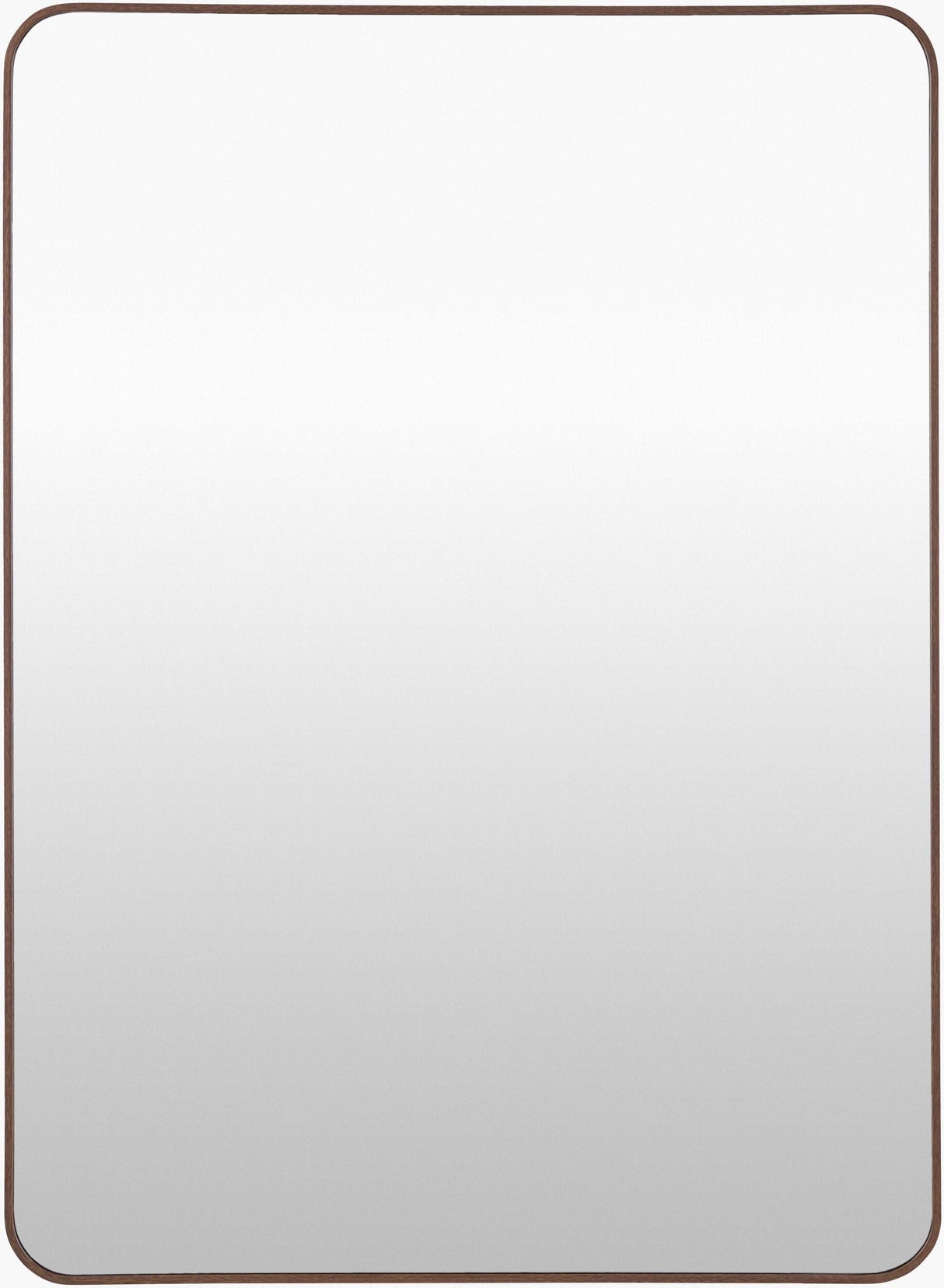 Livabliss Aranya RAY-053 41"H x 30"W x 1"D Mirror
