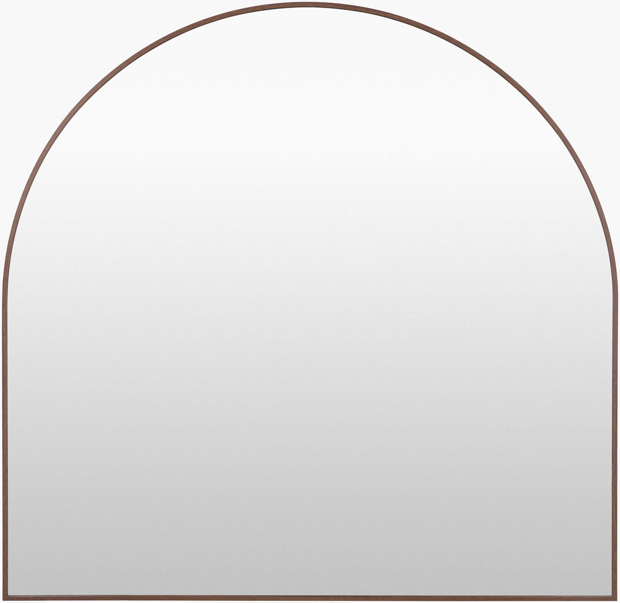 Livabliss Aranya RAY-055 30"H x 20"W x 1"D Mirror