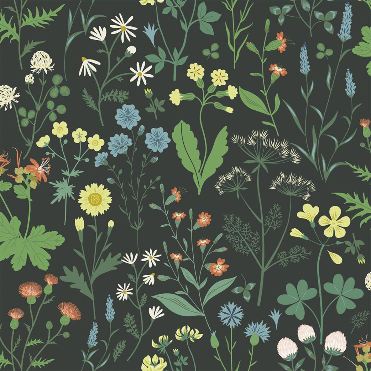 Brewster Home Fashions Flowers Black Wallpaper