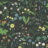Brewster Home Fashions Flowers Black Wallpaper