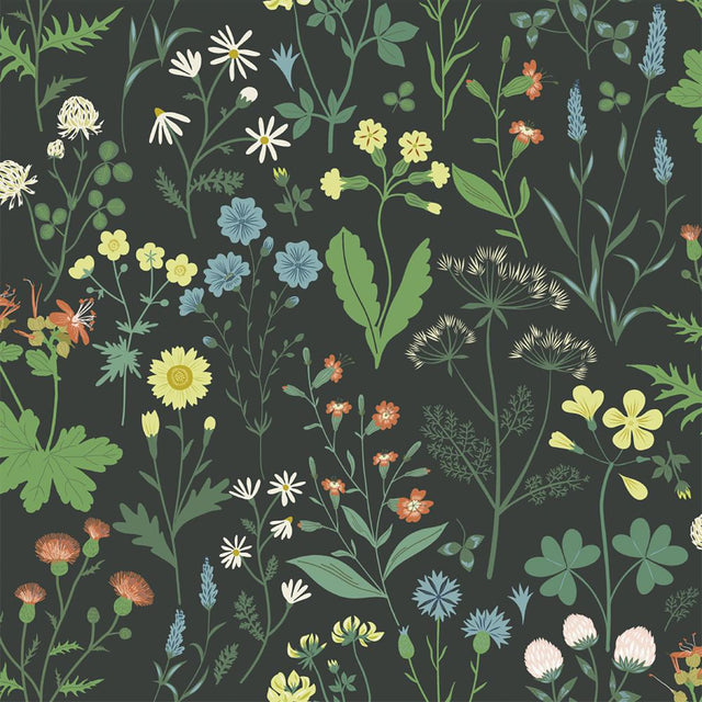 Brewster Home Fashions Flowers Black Wallpaper