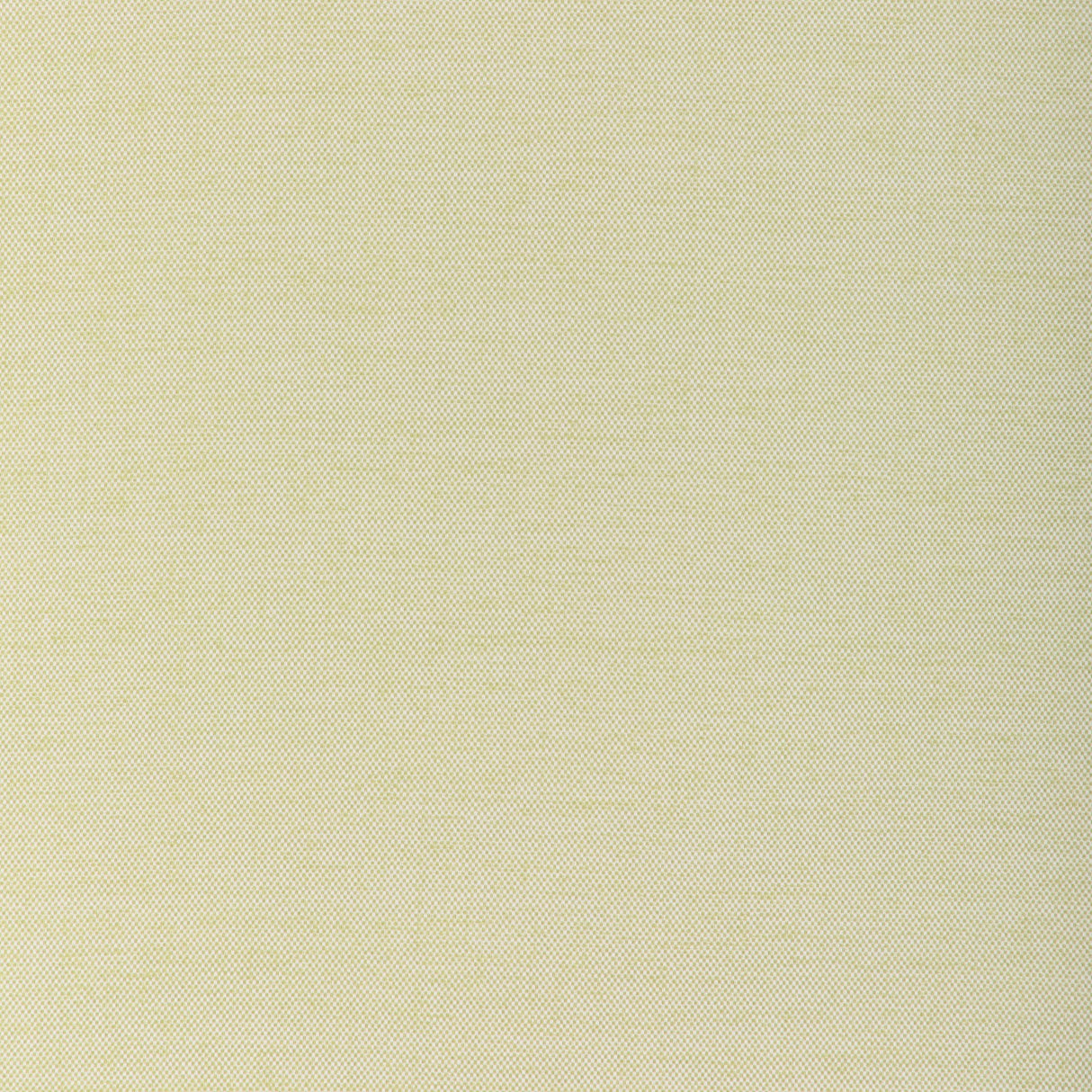 Kravet SOFTGROUND CACTUS Upholstery Fabric