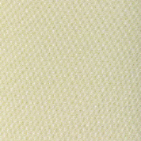 Kravet SOFTGROUND CACTUS Upholstery Fabric