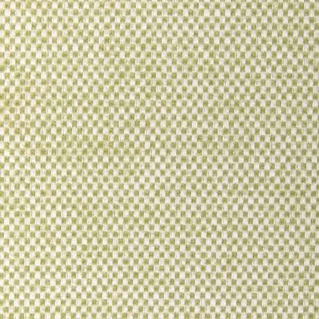 Kravet SOFTGROUND CACTUS Upholstery Fabric
