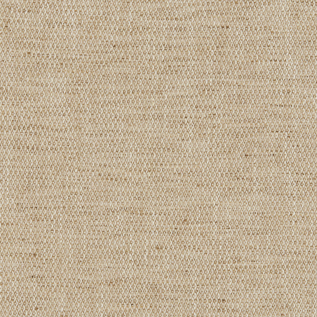 Kravet BASICS 37269 161 Fabric