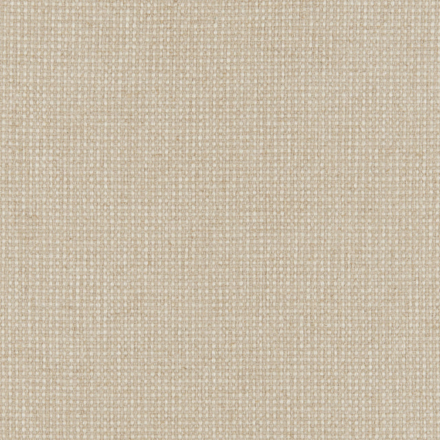 Kravet BASICS 37276 106 Fabric