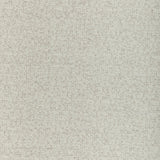 Donghia SWIZZLE SALT Upholstery Fabric