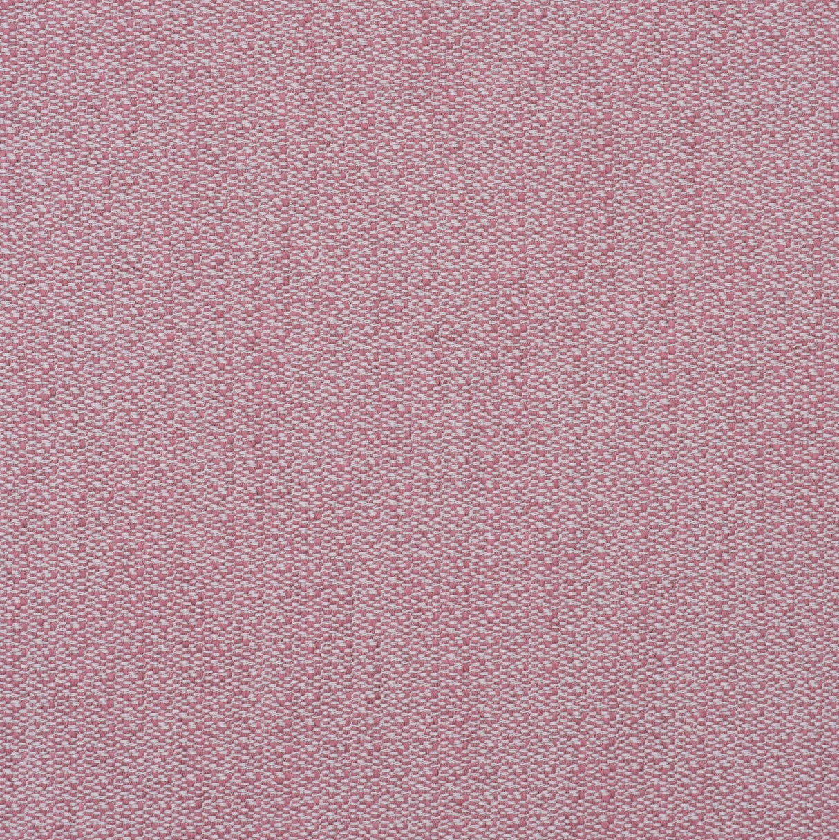 Andrew Martin RAVELLO PINK Upholstery Fabric