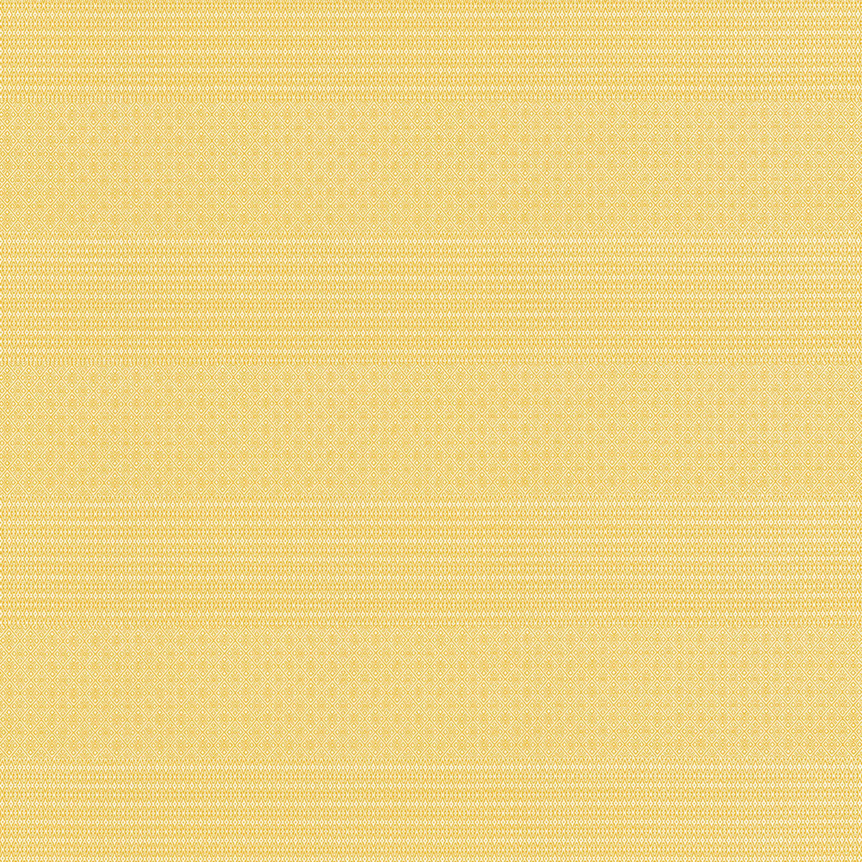 Gaston Y Daniela KAILAS PAJA Upholstery Fabric