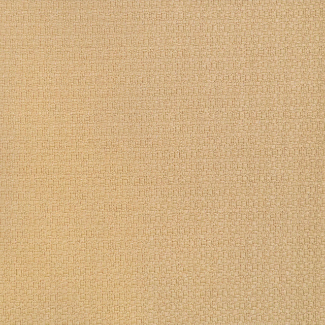 Gaston Y Daniela LHASA PAJA Upholstery Fabric