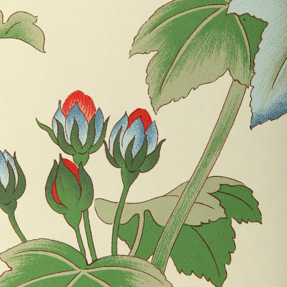 Lee Jofa GARDENIA PAPER RED/GREEN Wallpaper