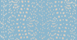 Brunschwig & Fils LES TOUCHES REVERSE SKY Wallpaper