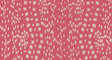 Brunschwig & Fils LES TOUCHES REVERSE PINK Wallpaper