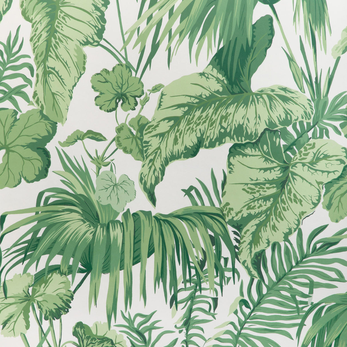 Kravet YASUNI WP VERDE Wallpaper