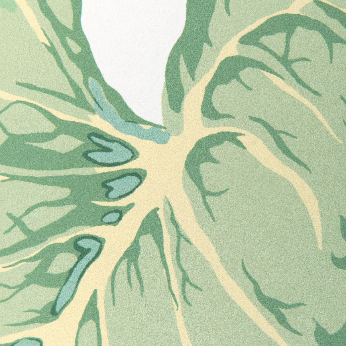 Kravet YASUNI WP CHAMBRAY Wallpaper