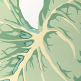 Kravet YASUNI WP CHAMBRAY Wallpaper