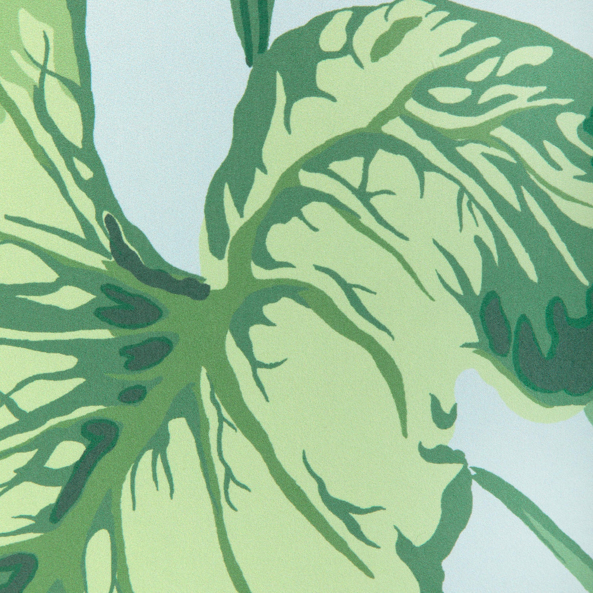 Kravet YASUNI WP SKY BLUE Wallpaper