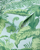 Kravet YASUNI WP SKY BLUE Wallpaper