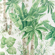 Kravet JUNGLEWOOD WP VERDE Wallpaper