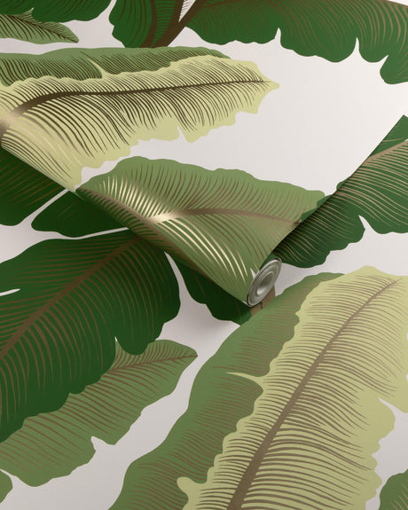 Kravet ISLA ROYAL WP GOLDEN PALM Wallpaper