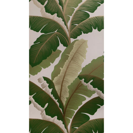 Kravet ISLA ROYAL WP GOLDEN PALM Wallpaper