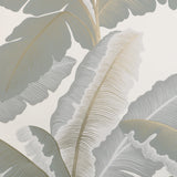 Kravet ISLA ROYAL WP MIST Wallpaper