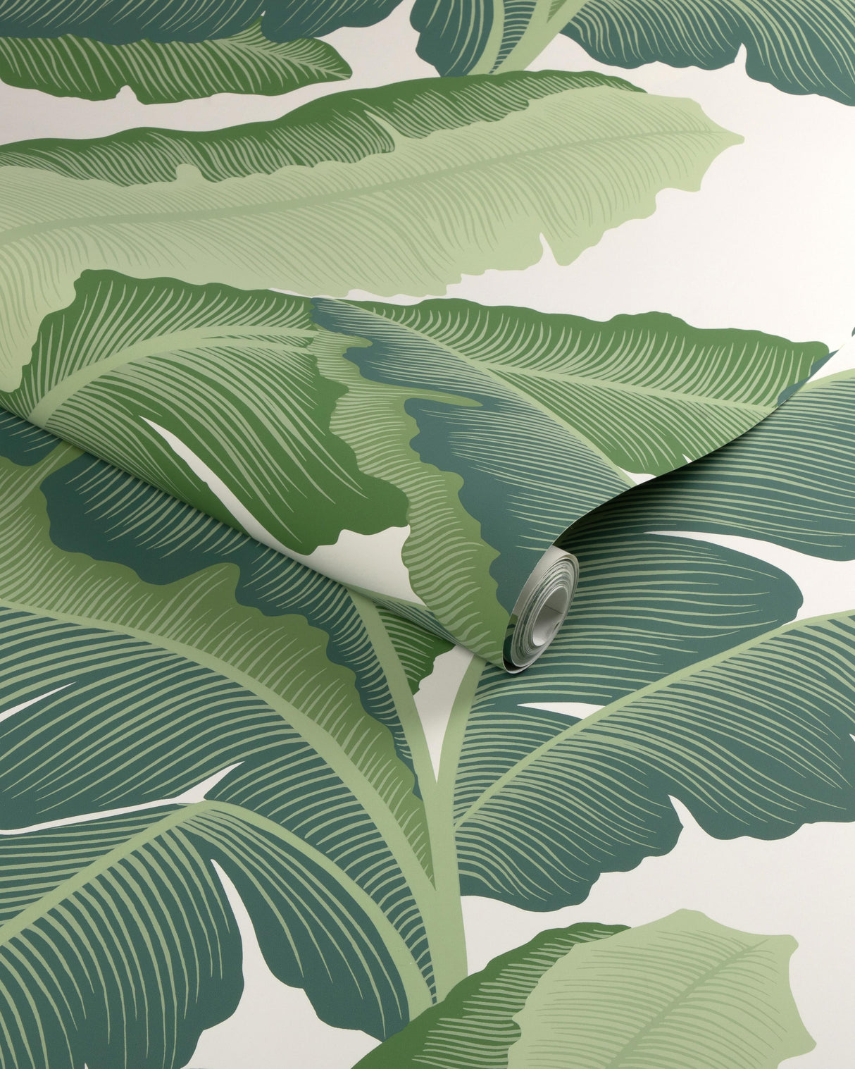 Kravet ISLA ROYAL WP VERDE Wallpaper