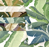 Kravet ISLA ROYAL WP VERDE Wallpaper