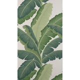 Kravet ISLA ROYAL WP VERDE Wallpaper