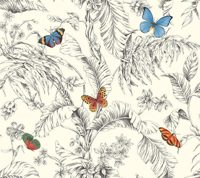 Kravet DESIGN W4234 814 Wallpaper